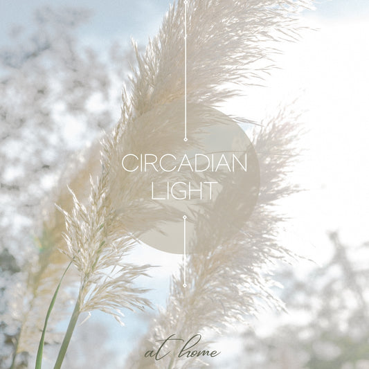Circadian Lighting Design for the Home: Criteria, Standards and Lighting design guidance