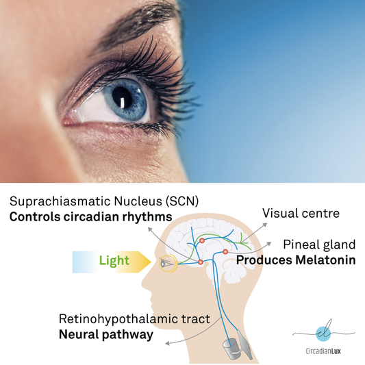 Indoor lighting and its effect on circadian rhythm